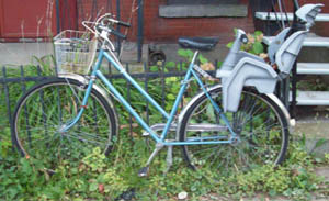 un vélo qui semble abandonné, le foin pousse dans les roues - StephaneLapointe.com