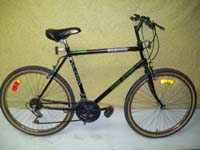 Free Spirit Blazer bicycle - StephaneLapointe.com