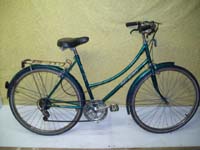 Free Spirit FS300 bicycle - StephaneLapointe.com