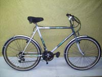 Cyclo Belier bicycle - StephaneLapointe.com