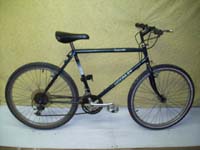 McKinley Expedition bicycle - StephaneLapointe.com