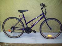McKinley Thunder bicycle - StephaneLapointe.com