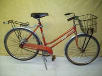 Rapido Junior bicycle - StephaneLapointe.com