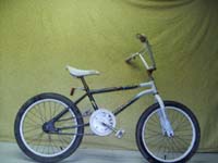 Niji Freestyle bicycle - StephaneLapointe.com