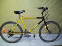 Niji Brousse bicycle - StephaneLapointe.com