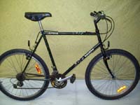 Steve Bauer Zephyr bicycle - StephaneLapointe.com