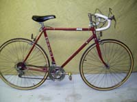 Niji Le Vélo bicycle - StephaneLapointe.com