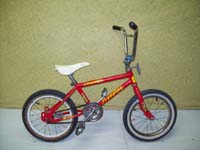 Leader LE 161 Freestyle bicycle - StephaneLapointe.com