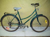 Free Spirit FS300 bicycle - StephaneLapointe.com
