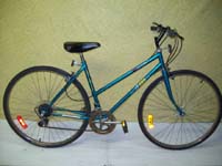 Free Spirit Rider bicycle - StephaneLapointe.com