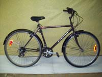 CCM Hybrid bicycle - StephaneLapointe.com