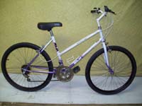 Niji Montagnard bicycle - StephaneLapointe.com