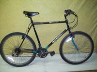 Norco Mountaineer S.L. bicycle - StephaneLapointe.com