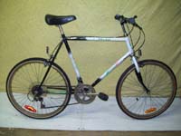 Cyclo Relais bicycle - StephaneLapointe.com