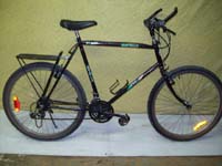 Cyclo Buffalo bicycle - StephaneLapointe.com