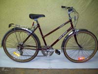 Free Spirit FS400 bicycle - StephaneLapointe.com