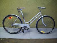 Rapido Eska bicycle - StephaneLapointe.com