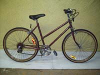 Free Spirit Town and Country bicycle - StephaneLapointe.com
