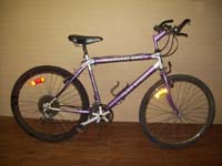 Free Spirit Eldorado bicycle - StephaneLapointe.com