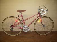 Free Spirit  bicycle - StephaneLapointe.com