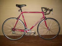 Bianchi Champion d'Italie bicycle - StephaneLapointe.com