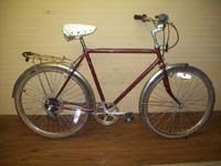 Free Spirit Town and Country bicycle - StephaneLapointe.com