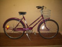 CCM Calico bicycle - StephaneLapointe.com