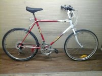 Leader LE6040 bicycle - StephaneLapointe.com