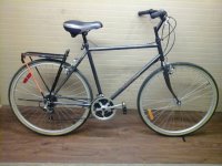 Velo Sport Enduro bicycle - StephaneLapointe.com