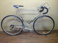 Velo Sport Michi bicycle - StephaneLapointe.com