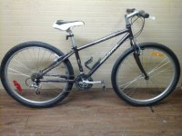 Specialized Rock Hopper bicycle - StephaneLapointe.com