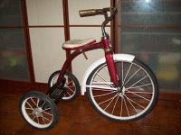 Leader tricycle bicycle - StephaneLapointe.com