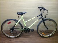 Free Spirit Trailhandler bicycle - StephaneLapointe.com