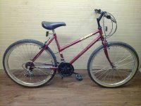Free Spirit Clipper bicycle - StephaneLapointe.com
