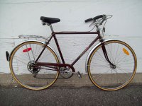 Niji Touriste bicycle - StephaneLapointe.com