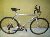 Velo Sport Express bicycle - StephaneLapointe.com
