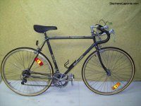 Niji Caravelle bicycle - StephaneLapointe.com