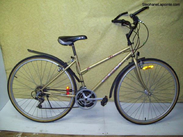 Vélo CCM H450 - StephaneLapointe.com