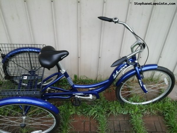 Vélo Schwinn Tricycle - StephaneLapointe.com
