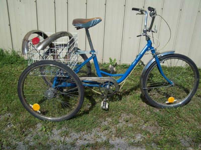 Typical adult tricycle, the Free Spirit 3 speed