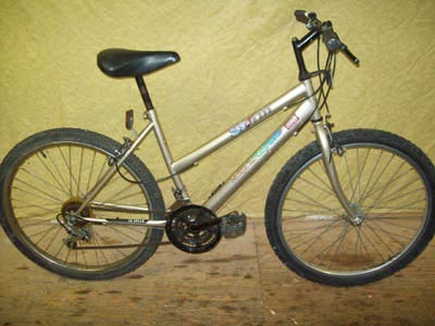 ladies' mountain bikes with slanted frames