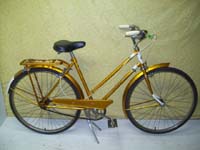 Stylish vintage bike - StephaneLapointe.com