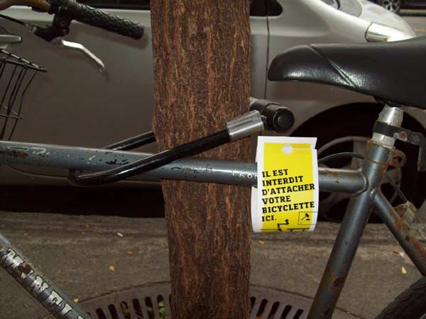 interdiction de vérouiller son vélo sur les arbres de la ville de Montréal - StephaneLapointe.com