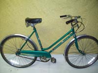 Rapido Junior 3-Speed bicycle - StephaneLapointe.com
