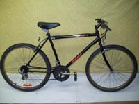 Supercycle 1200 bicycle - StephaneLapointe.com
