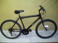 Triumph Laser bicycle - StephaneLapointe.com