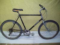 Raleigh Big Horn bicycle - StephaneLapointe.com