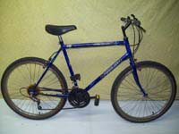 Venture Canyon Runner bicycle - StephaneLapointe.com
