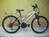 Norco Diva bicycle - StephaneLapointe.com