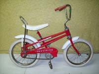 Precision  bicycle - StephaneLapointe.com